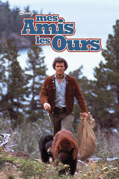 Affiche Poster amis ours bears disney