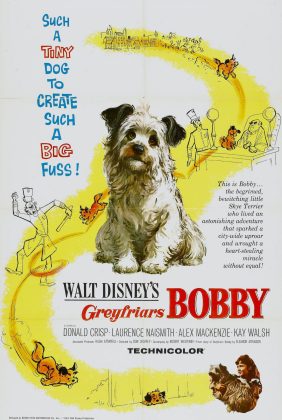 Bobby des Greyfriars.