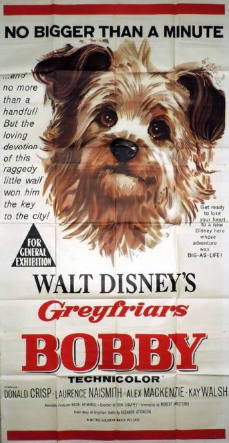 Affiche Poster bobby greyfriars disney