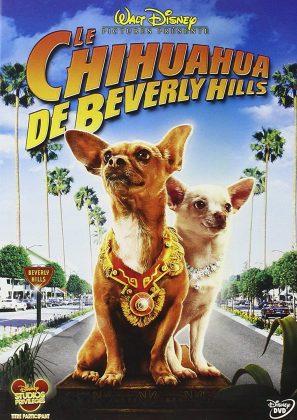 Le chihuahua de Beverly Hills.