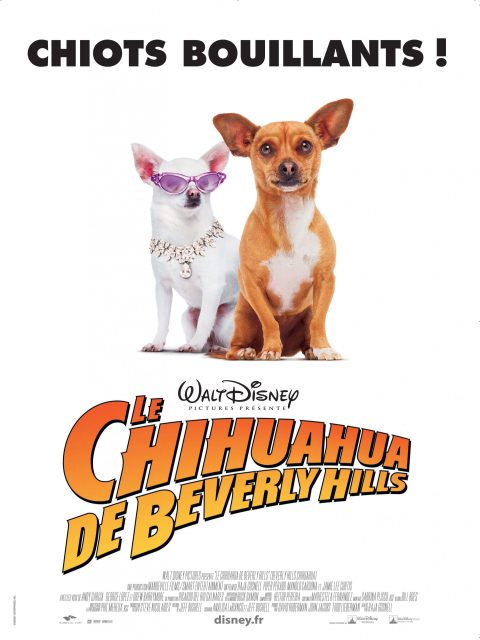 Affiche Poster chihuahua beverly hills disney