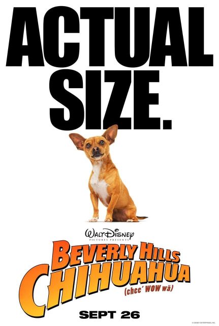 Affiche Poster chihuahua beverly hills disney