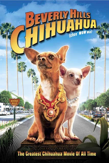 Affiche Poster chihuahua beverly hills disney