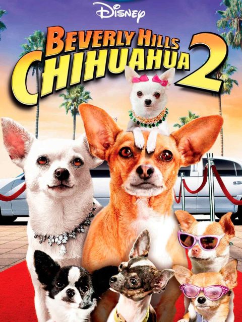 Affiche Poster chihuahua beverly hills 2 disney