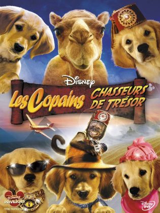Les Copains chasseurs de trésor.