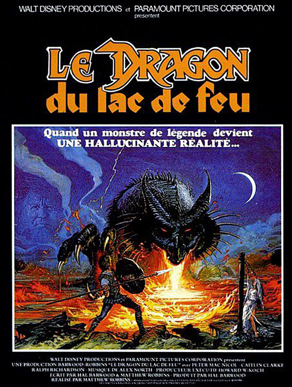 Affiche poster dragon lac feu dragonslayer disney