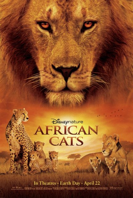 Affiche Poster Félins African cats Disney Disneynature