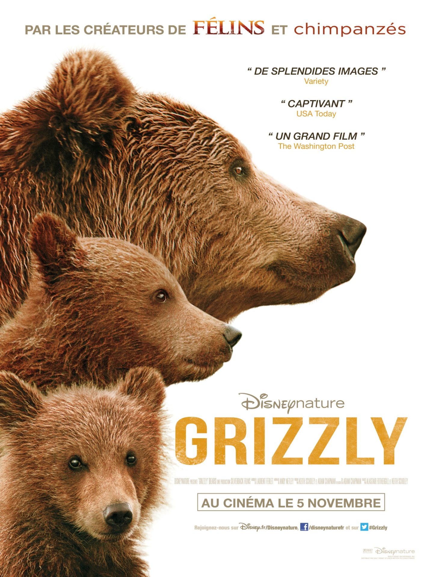 Affiche Poster Grizzly Bears disney disneynature