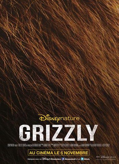 Affiche Poster Grizzly Bears disney disneynature