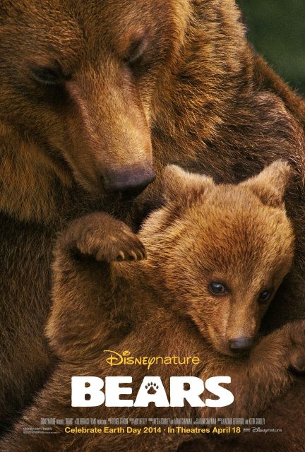Affiche Poster Grizzly Bears disney disneynature