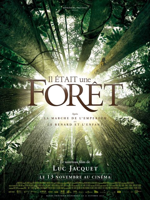 Il était une forêt - Streaming. 1 Affiche Poster Il était une forêt once upon a forest disney disneynature