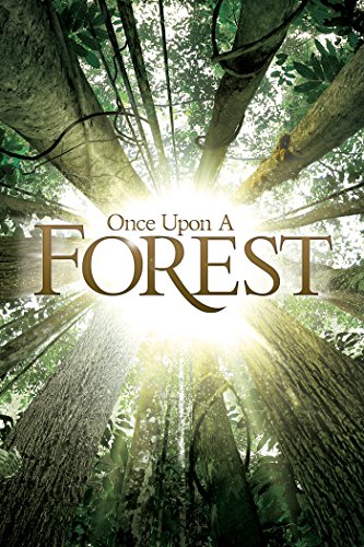 Affiche Poster Il était une forêt once upon a forest disney disneynature