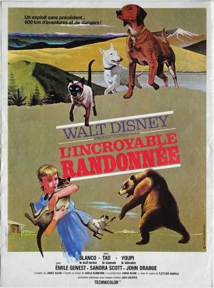 L'incroyable randonnée. 2 L’incroyable randonnée.