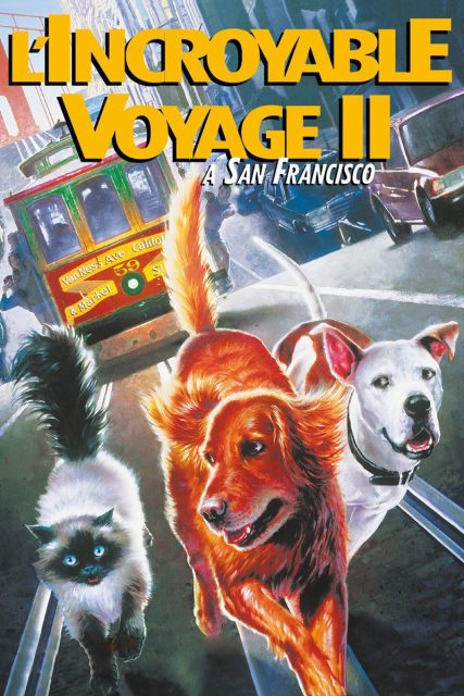 Affiche Poster incroyable voyage san francisco homeward bound incredible journey disney
