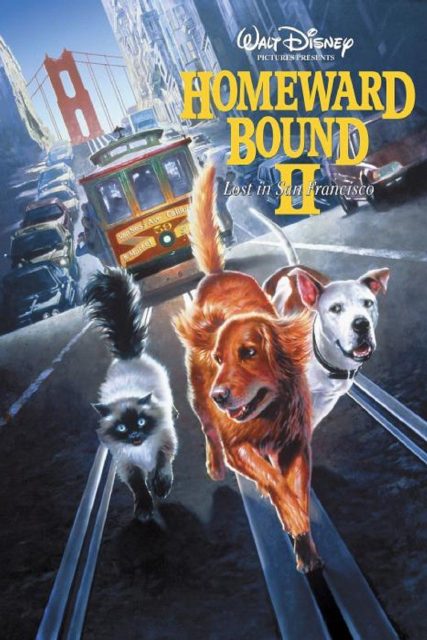 Affiche Poster incroyable voyage san francisco homeward bound incredible journey disney