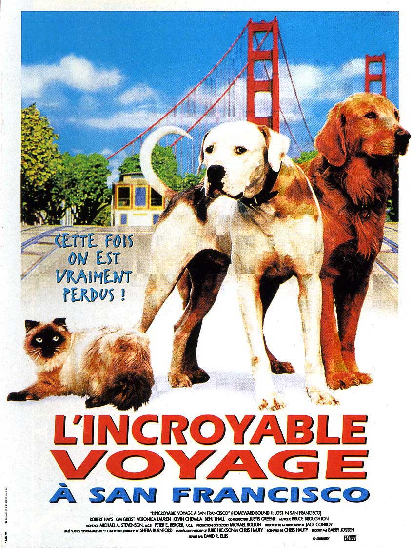 Affiche Poster incroyable voyage san francisco homeward bound incredible journey disney