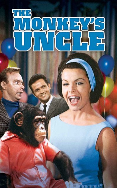 Un neveu studieux - Photos et affiches. 3 Affiche Poster neveu studieux monkey uncle disney