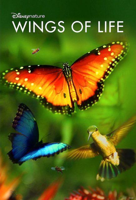 Affiche Poster Pollen Wings of life disney disneynature