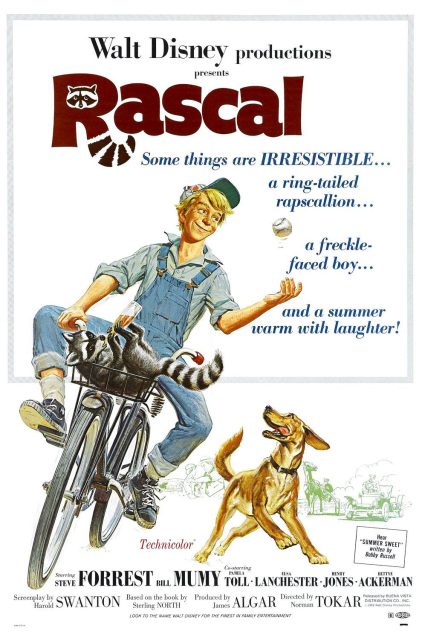 Un raton nommé Rascal - Streaming. 1 Affiche Poster raton nommé rascal disney