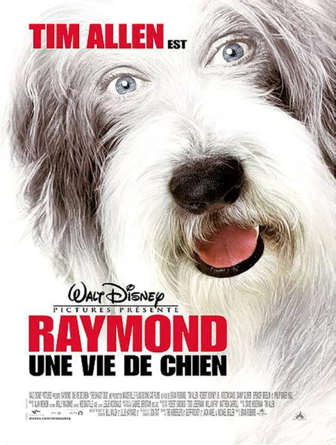 Raymond - Streaming. 1 affiche poster raymond shaggy dog disney