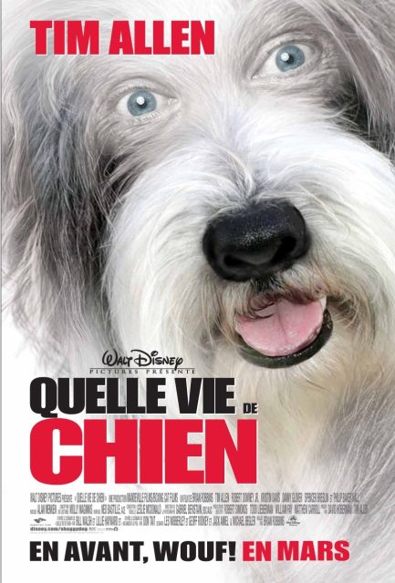 affiche poster raymond shaggy dog disney