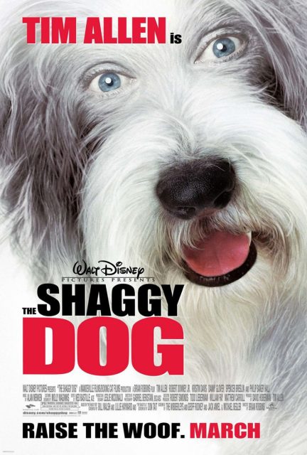 affiche poster raymond shaggy dog disney