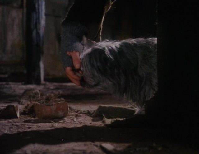 Image bobby greyfriars disney