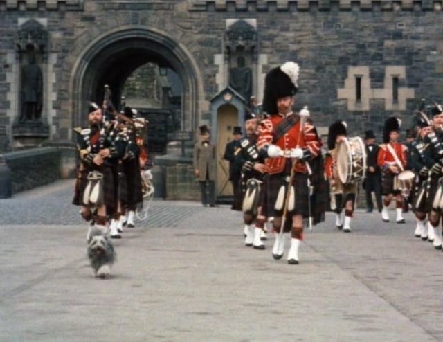 Image bobby greyfriars disney