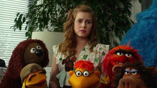 Les Muppets, le retour. 9 Jason Segel et Amy Adams dans Les Muppets, le retour 2011