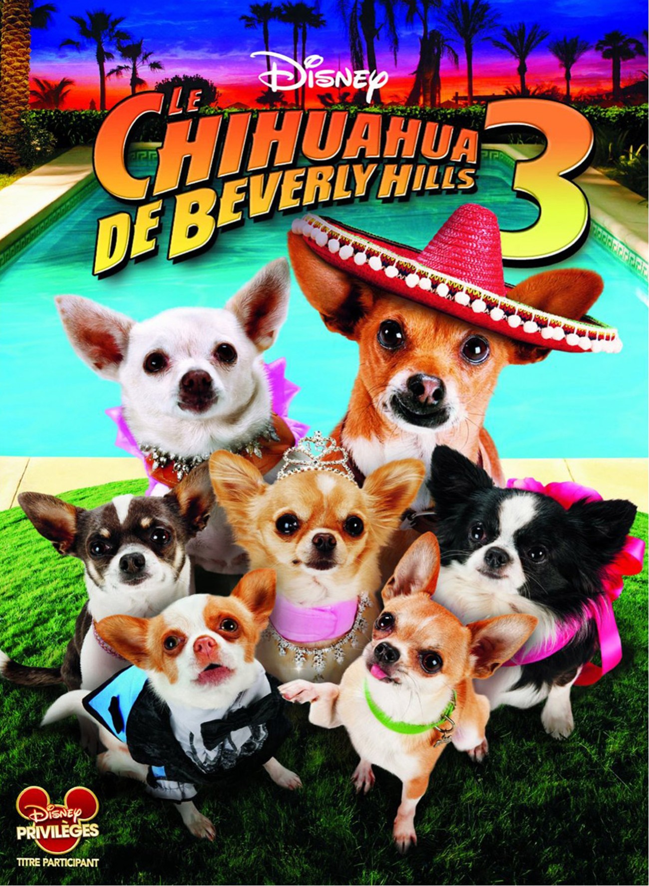 Affiche Poster chihuahua beverly hills 3 viva fiesta disney