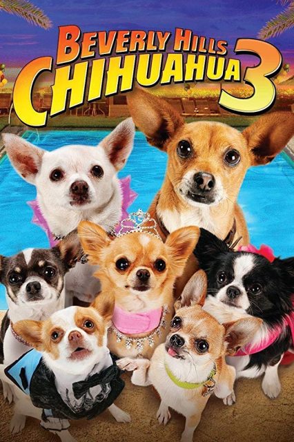Affiche Poster chihuahua beverly hills 3 viva fiesta disney