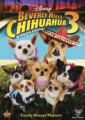 Affiche Poster chihuahua beverly hills 3 viva fiesta disney