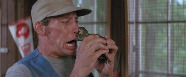 Image ernest joyeuses colonies goes camp disney touchstone