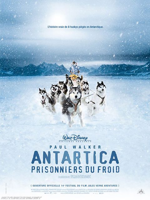 Antartica, prisonniers du froid - Photos et affiches. 2 Affiche Poster antartica prisonniers froids eight bellow disney