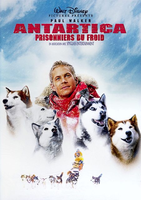 Antartica, prisonniers du froid. 1 Affiche Poster antartica prisonniers froids eight bellow disney