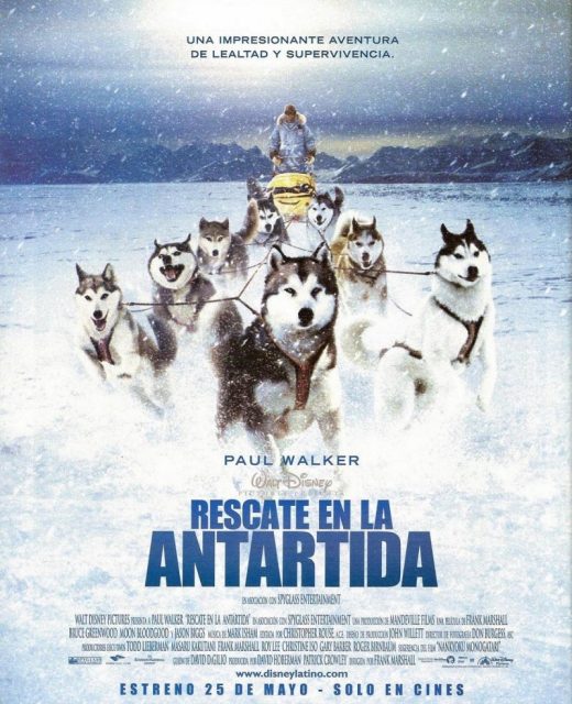 Antartica, prisonniers du froid - Photos et affiches. 4 Affiche Poster antartica prisonniers froids eight bellow disney