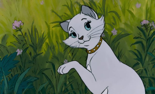 Duchesse - Personnage - Les Aristochats. 8 duchesse chat cat personnage character aristochats aristocats disney animation