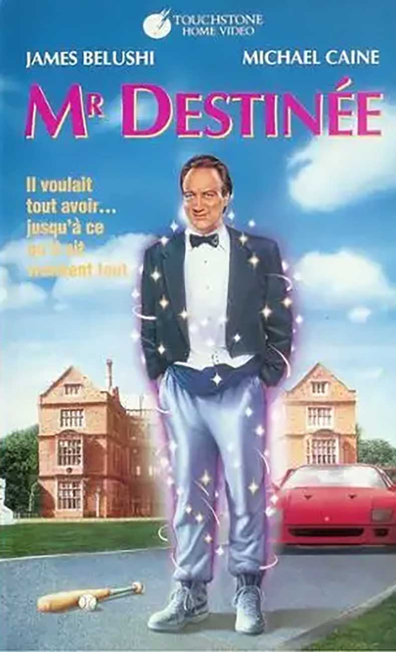 Affiche Poster monsieur destinee destiny disney touchstone