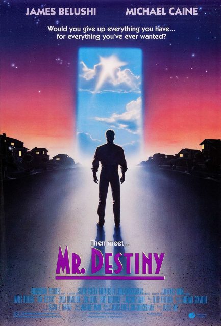 Affiche Poster monsieur destinee destiny disney touchstone