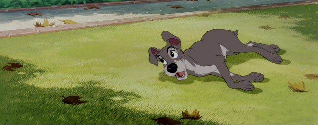 Clochard - Personnage - La Belle et le Clochard. 7 la belle et le clochard lady and the tramp tramp chien dog disney animation personnage character