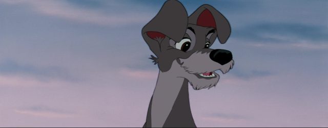 La Belle et le Clochard. 5 la belle et le clochard lady and the tramp tramp chien dog disney animation personnage character