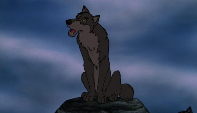 Akela - Personnage - Le livre de la jungle. 5 akela loup wolf personnage le livre de la jungle disney book character