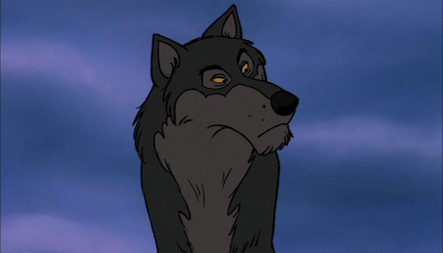 Akela - Personnage - Le livre de la jungle. 1 akela loup wolf personnage le livre de la jungle disney book character