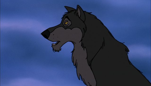 Akela - Personnage - Le livre de la jungle. 2 akela loup wolf personnage le livre de la jungle disney book character