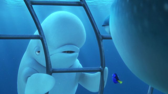 Bailey - Personnage - Le monde de Dory. 1 bailey personnage character monde finding dory disney pixar