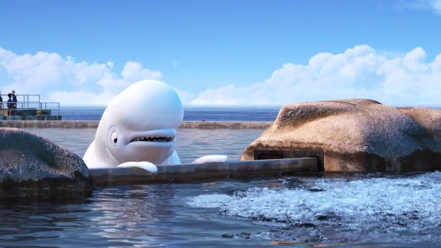 Bailey - Personnage - Le monde de Dory. 6 bailey personnage character monde finding dory disney pixar