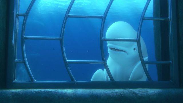 Bailey - Personnage - Le monde de Dory. 4 bailey personnage character monde finding dory disney pixar