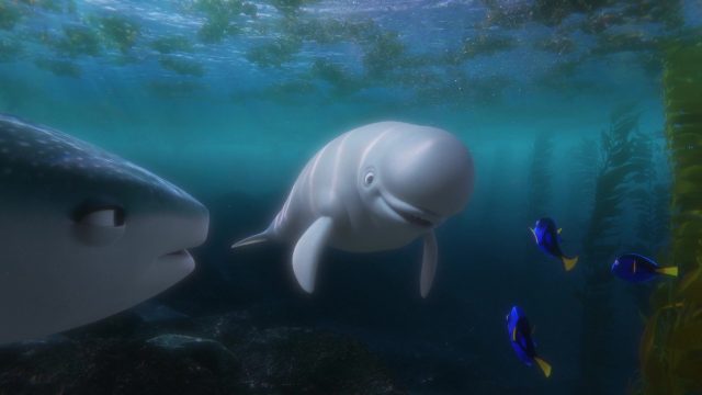 Bailey - Personnage - Le monde de Dory. 2 bailey personnage character monde finding dory disney pixar