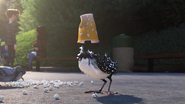 Becky - Personnage - Le monde de Dory. 5 becky personnage character monde finding dory disney pixar