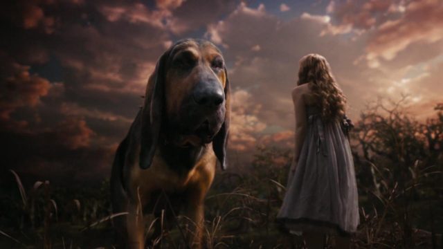 Bayard - Personnage - Alice au pays des merveilles (film - 2010). 2 bayard disney personnage character alice au pays des merveilles in wonderland